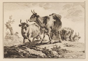 Tafel 4, aus "Cahier de Six Feuilles de Boeufs et Vaches"