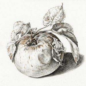 Apfel