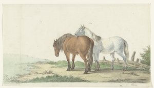 Ein braunes und weißes Pferd auf einem Weg neben einem Zaun