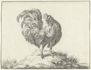 Huhn, stehend auf einem Hügel