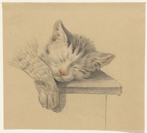 Kopf und Pfote einer schlafenden Katze von Jean Bernard