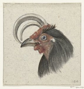 Kopf eines Hahns von Jean Bernard