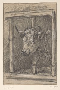 Kopf einer Kuh, durch die Gitter eines Stalls von Jean Bernard