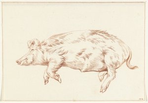 Liegendes Schwein, nach links