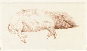 Liegendes Schwein, nach rechts