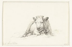 Liegende Kuh, von vorne von Jean Bernard
