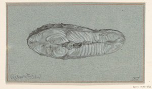 Stück gekochter Lachs von Jean Bernard