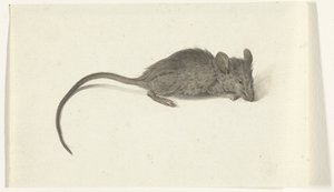 Maus, nach rechts