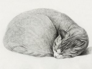 Zusammengerollte schlafende Katze von Jean Bernard