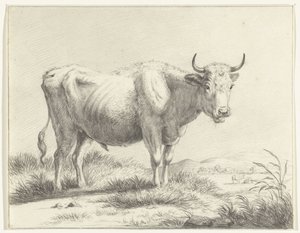 Stehende Kuh, nach rechts von Jean Bernard