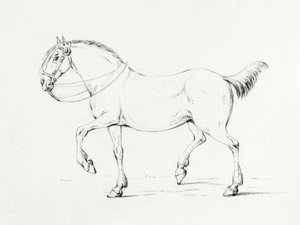 Schreitendes Pferd (1775–1833) von Jean Bernard
