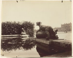 Versailles, Fontaine du Point du Jour, (Tigre besiegt einen Bären von Houzeau) von Jean Eugène Auguste Atget