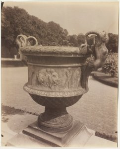 Versailles, Vase von Ballin von Jean Eugène Auguste Atget
