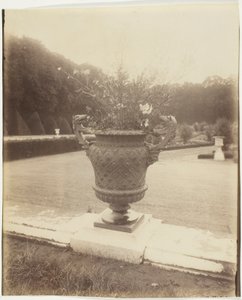 Versailles, Vase von Ballin von Jean Eugène Auguste Atget