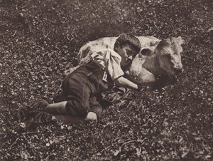Schweiz: Siesta