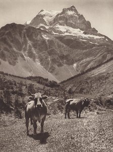 Schweiz: Der Tödi