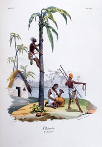 Chanar, 1828