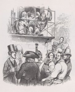 Orang-Utans aus den gesammelten Werken von Béranger, 1836 von Jean Ignace Isidore Gérard