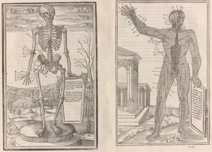 De dissectione partium corporis humani libri tres, 1545 von Jean Jollat