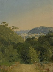 Blick auf die Bucht von Neapel von Jean Joseph Xavier Bidauld