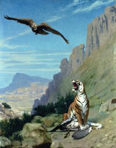 Tiger und Geier