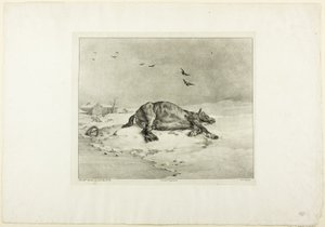 Totes Pferd von Jean Louis André Théodore Géricault