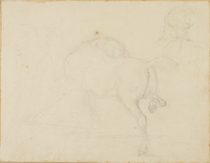 Studie eines Pferdes, das seinen Kopf dreht und sein Hinterbein hebt von Jean Louis André Théodore Géricault