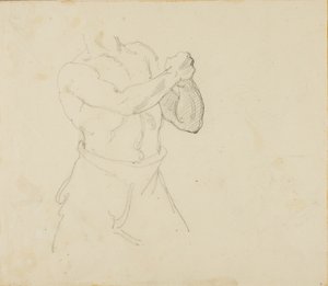 Torso eines Boxers
