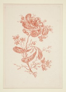 Ohne Titel (Ideale Blumen), aus einem Satz von sechs