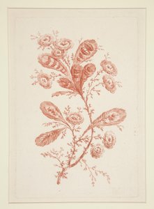 Ohne Titel (Ideale Blumen), aus einem Satz von sechs