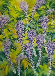 Blauregenblüten & Laub 1 von Jeanne Maze