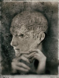 Vintage Phrenologie Studie