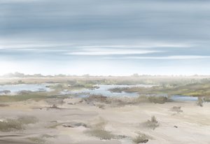 Neblige Feuchtlandschaft von Jenna Alheit