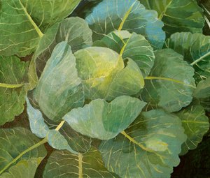 Kohl (blau), 2014