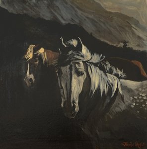 Bergponys