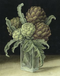 Artischocke
