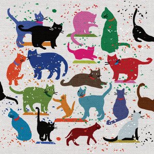 Katzenliebe von Jenny Frean
