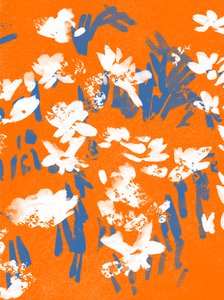 Mandarinenwiese von Jenny Frean