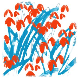 Rote Schneeglöckchen