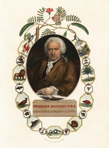Porträt von Charles Bonnet, Genfer Naturforscher von Jens Juel