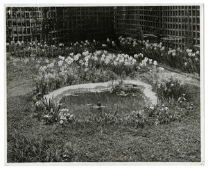 Garten von Mr & Mrs Wm H Wells, 265 W 11th St, New York, USA von Jessie Tarbox Beals