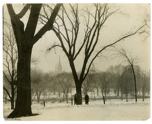 The Common, Boston, USA, ca. 1902-10