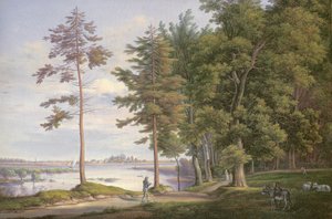 Eine Wiese in Hamburg
