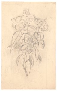 Blumenstudie