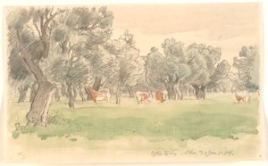 Griechische Landschaft mit Olivenbäumen und grasenden rotbraunen Kühen von Joakim Frederik Skovgaard