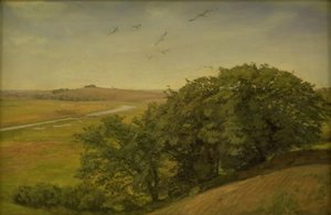 Landschaft mit Bäumen auf einem Abhang