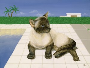 Siamkatze an einem Schwimmbecken