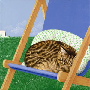 Getigerte Katze schläft in einem Liegestuhl
