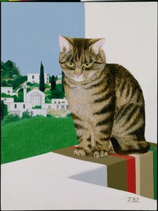 Getigerte Katze im Fenster