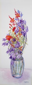 Agapantha companulatus und Crocosmia, 2015